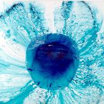 schválně ... co to je?